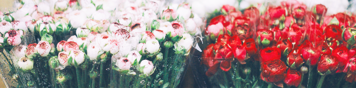 プレゼントの切り花を格段に長持ちさせる方法 厳選 大阪で見つけた素敵なお花屋さん Osaka Flowershop Navi